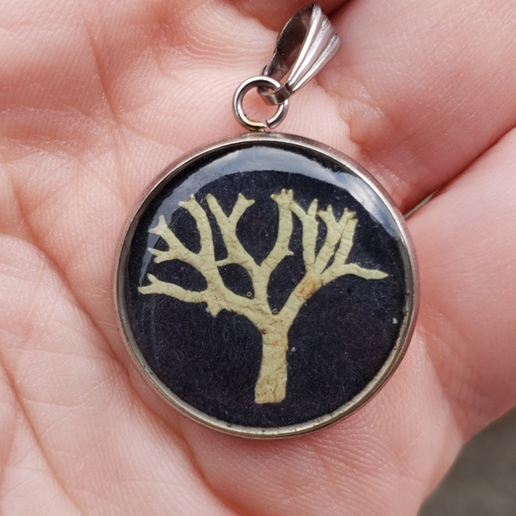 Vintage 50's Dried Plant Tree Nature Pendant - Picture 3 of 4